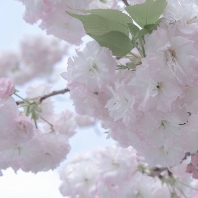 高邮FurryQQ群介绍